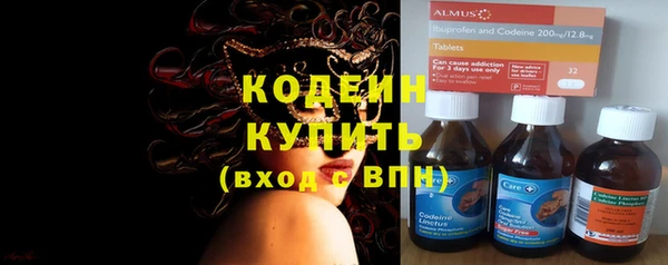 гидра Галич