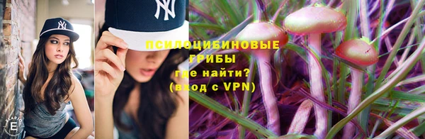 а пвп мука Гатчина