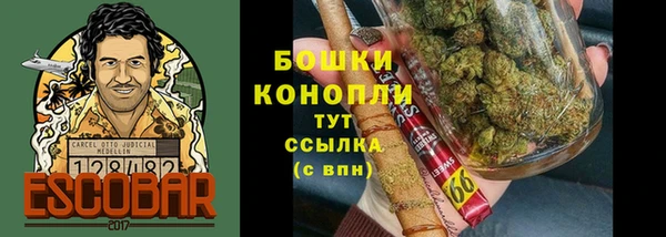 крисы Аркадак