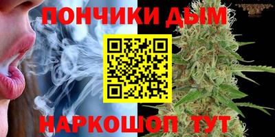 a pvp Можга