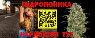 jwh Моздок