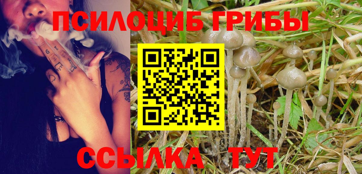 Галлюциногенные грибы ЛСД Кореновск
