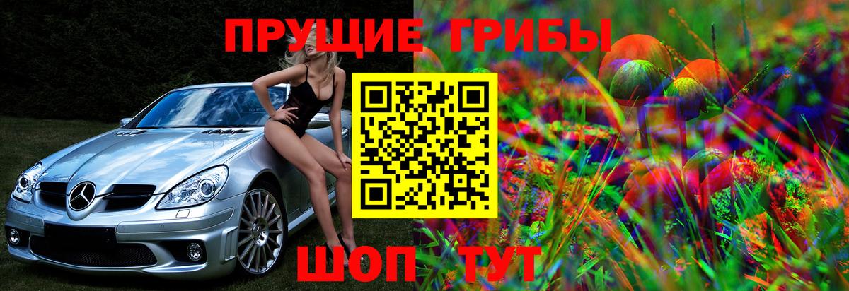 Кореновск  Псилоцибиновые грибы мицелий  Вход с VPN 